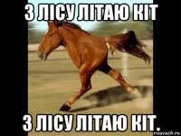з лісу літаю кіт з лісу літаю кіт.
