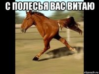 с полесья вас витаю 