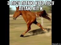 з лісу літаю кітз лісу літаю кіт и 