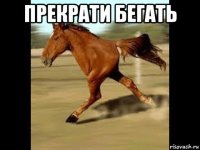 прекрати бегать 