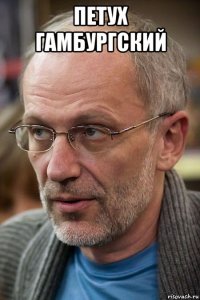 петух гамбургский 