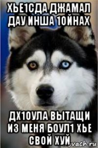 хье1сда джамал дау инша 1ойнах дх1оула вытащи из меня боул1 хье свой хуй