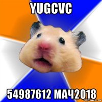 yugcvc 54987612 мач2018