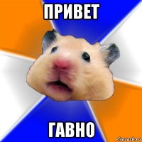 привет гавно