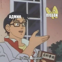 Админ Пigeon п