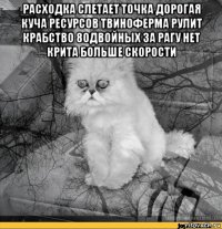 расходка слетает точка дорогая куча ресурсов твиноферма рулит крабство 80двойных за рагу нет крита больше скорости 