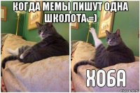 когда мемы пишут одна школота =) 