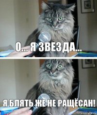 о... я звезда... я блять же не ращёсан!