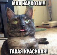 моя наркота!!! такая красивая!