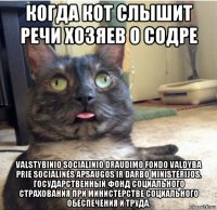 когда кот слышит речи хозяев о содре valstybinio socialinio draudimo fondo valdyba prie socialinės apsaugos ir darbo ministerijos. государственный фонд социального страхования при министерстве социального обеспечения и труда.