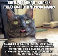 когда кот видит вилы в руках хозяев и черную маску valstybinio socialinio draudimo fondo valdyba prie socialinės apsaugos ir darbo ministerijos. государственный фонд социального страхования при министерстве социального обеспечения и труда.