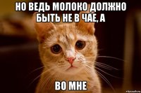 но ведь молоко должно быть не в чае, а во мне