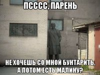 псссс, парень не хочешь со мной бунтарить, а потом есть малину?