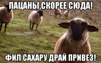 пацаны,скорее сюда! фил сахару драй привез!