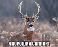  я хороший саппорт