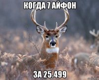 когда 7 айфон за 25.499