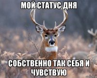 мой статус дня собственно так себя и чувствую