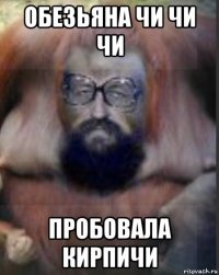 обезьяна чи чи чи пробовала кирпичи