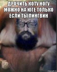 дрочить коту ногу можно на юге только если ты пингвин 
