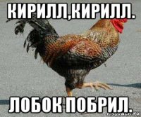 кирилл,кирилл. лобок побрил.
