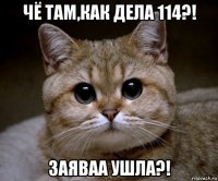 чё там,как дела 114?! заяваа ушла?!