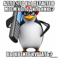 алло что вы делаете в моем холодильнике? вы хотите кушать?