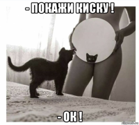- покажи киску ! - ок !