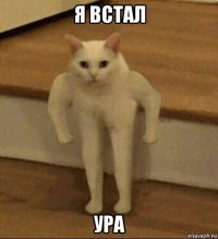 я встал ура