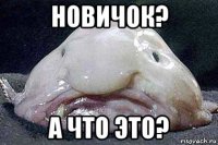 новичок? а что это?