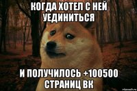 когда хотел с ней уединиться и получилось +100500 страниц вк