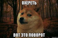 охереть вот это поворот