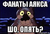 фанаты аякса шо, опять?