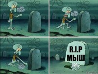 R.I.P
Мыш