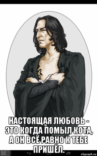  настоящая любовь - это когда помыл кота, а он всё равно к тебе пришёл.
