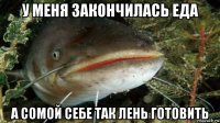 у меня закончилась еда а сомой себе так лень готовить