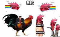 mlg 