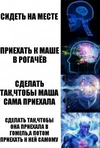 Сидеть на месте Приехать к Маше в Рогачёв Сделать так,чтобы Маша сама приехала Сделать так,чтобы она приехала в Гомель,а потом приехать к ней самому