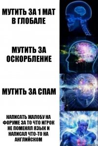 Мутить за 1 мат в глобале Мутить за оскорбление Мутить за спам Написать жалобу на форуме за то что игрок не поменял язык и написал что-то на английском