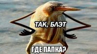  где папка?