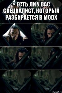> есть ли у вас специалист, который разбирается в modx 