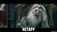  netapp
