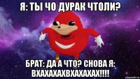 я: ты чо дурак чтоли? брат: да а что? снова я: вхахахахвхахахах!!!!