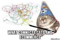  what connects cats and ecommerce
