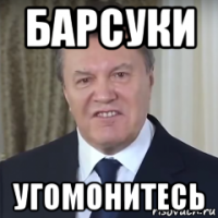 барсуки угомонитесь