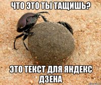 что это ты тащишь? это текст для яндекс дзена
