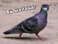 Создать мем Ай малаца