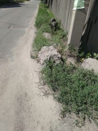Создать мем Камень2