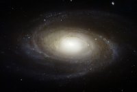 Создать мем M81