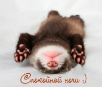 Создать мем Сон