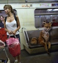 Создать мем Упоротый в метро
